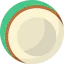 Coconut icon 64x64