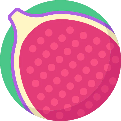 Fig icon