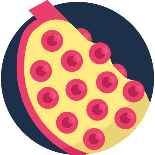 Grenade icon