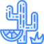 Cactus icon 64x64