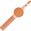 Bagpipes іконка 64x64