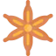 Anise icon 64x64