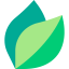 Leaf icon 64x64