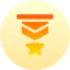Medal of honor icon 64x64