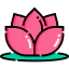 Lotus icon 64x64
