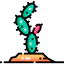 Cactus icon 64x64