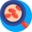 Magnifier icon 64x64