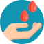 Solidarity Ikona 64x64