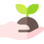 Sprout icon 64x64