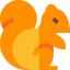 Squirrel icon 64x64