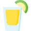 Shot Ikona 64x64