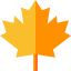 Maple icon 64x64