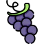Grape icon 64x64