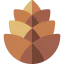 Pine cone icône 64x64