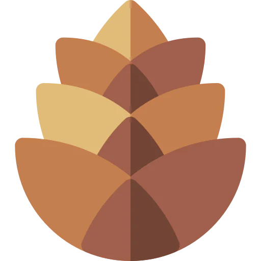 Pine cone icon