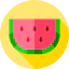 Watermelon icon 64x64