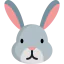 Rabbit icon 64x64