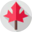 Maple leaf icon 64x64