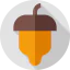 Acorn icon 64x64