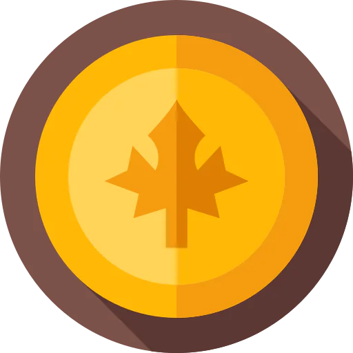 Coin icon
