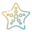 Starfish icon 64x64