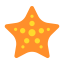 Starfish icon 64x64
