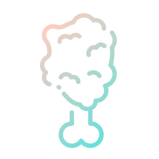 Nuggets icon