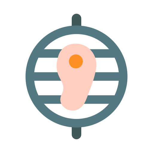 Steak icon