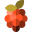 Raspberry 상 64x64