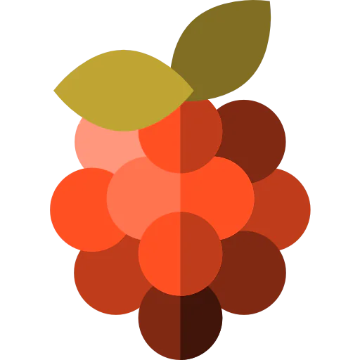 Raspberry icon