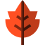 Leaf icon 64x64