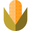Cob icon 64x64
