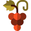 Grapes icon 64x64