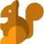 Squirrel icon 64x64