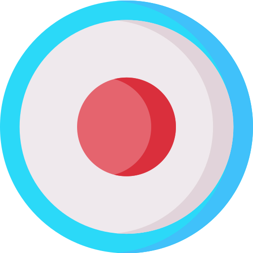 Record icon
