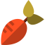 Radish icon 64x64