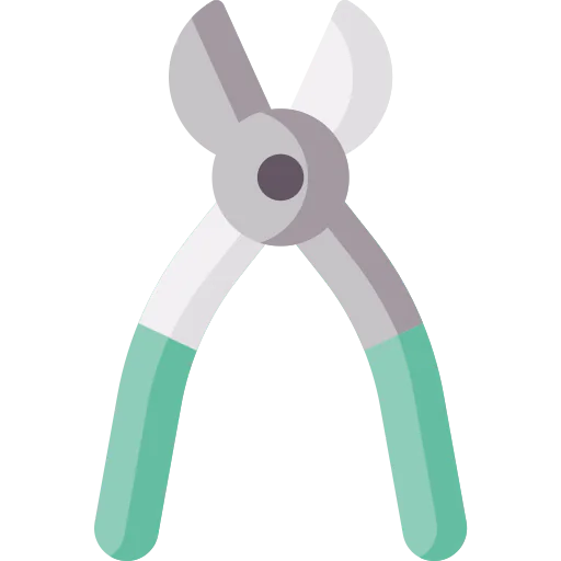 Forceps icon