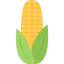 Corn icon 64x64