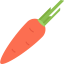 Carrot icon 64x64