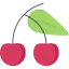 Cherry icon 64x64