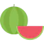 Watermelon icon 64x64