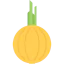 Onion icon 64x64