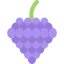 Grapes icon 64x64