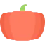 Pumpkin icon 64x64