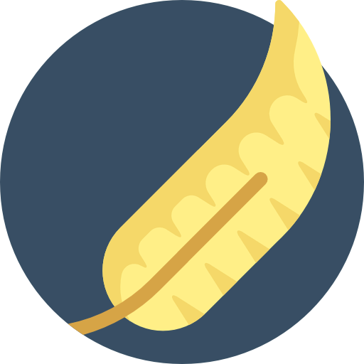Feather icon