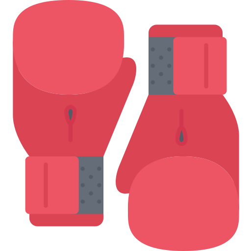 Boxing icon
