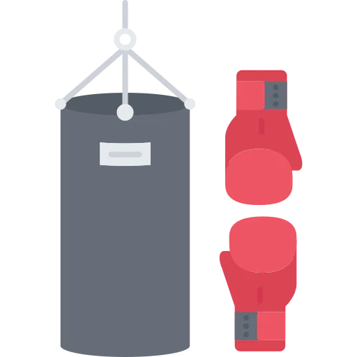 Boxing icon