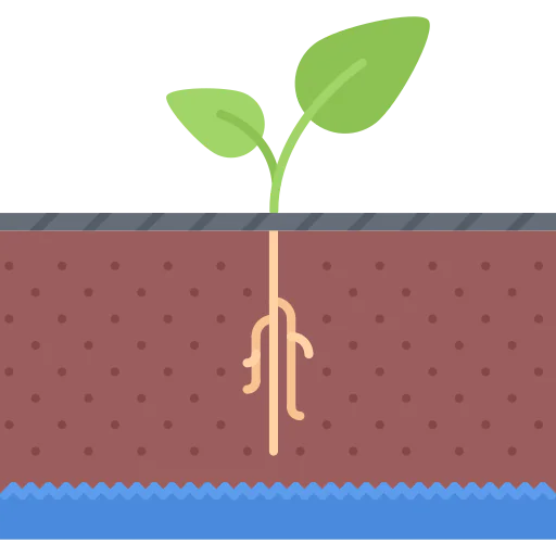 Sprout icon