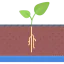 Sprout icon 64x64
