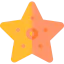 Starfish icon 64x64